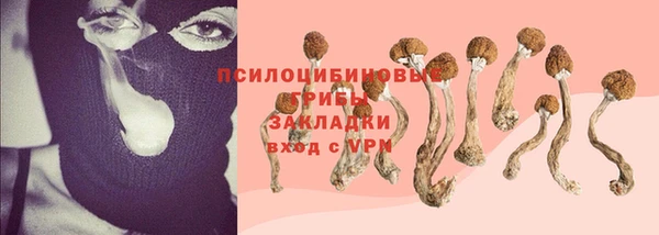 дживик Армянск