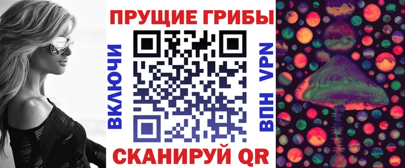 Галлюциногенные грибы Cubensis  Белокуриха 