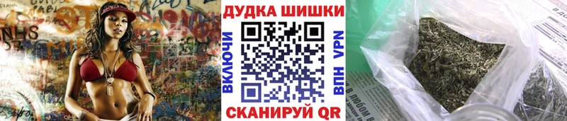 где найти   Белокуриха  Каннабис OG Kush 